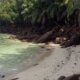 Anse Balaine, beach on Mahe, Seychelles