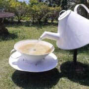 Usine de thé des Seychelles