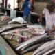 Pesca alle Seychelles con pesce sano