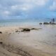 Анс-о-Курбес, пляж на Маэ...
