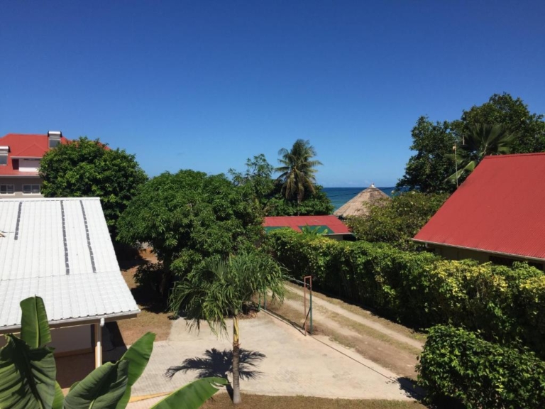 Didi's Dream Selbstversorgung 8 101673089 768x576