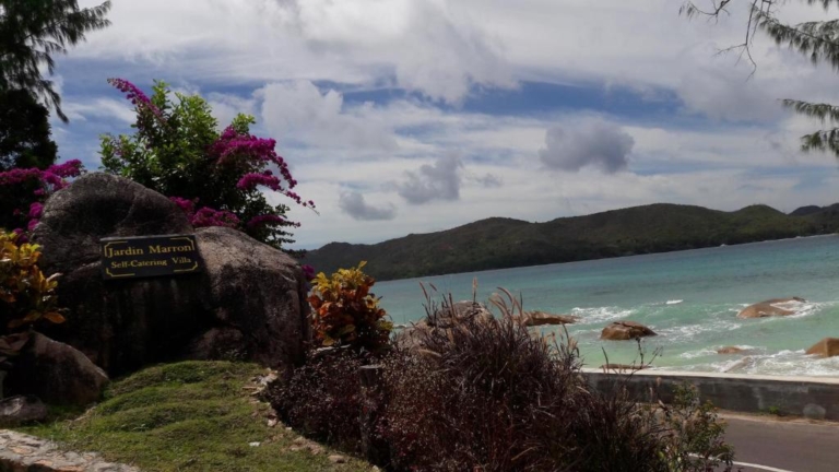 Jardin Marron 10 110596610 768x432