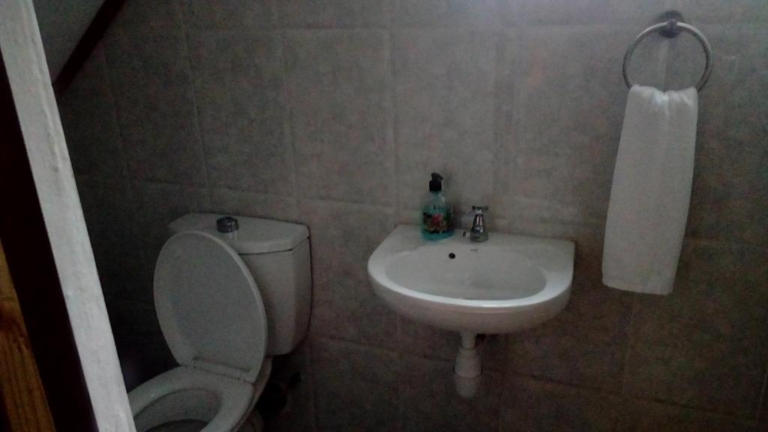 Green Garden Selbstversorgung 8 111930899 768x432