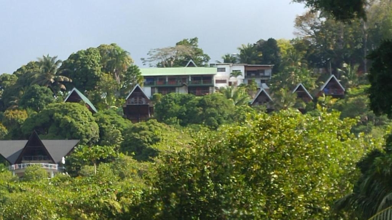 Mango Lodge 10 112897168 768x432