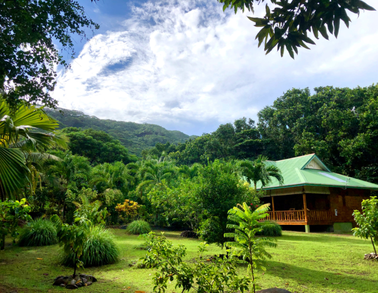 Bois D'amour 10 118848587 3230054143714860 5353652647253445284 n 768x595