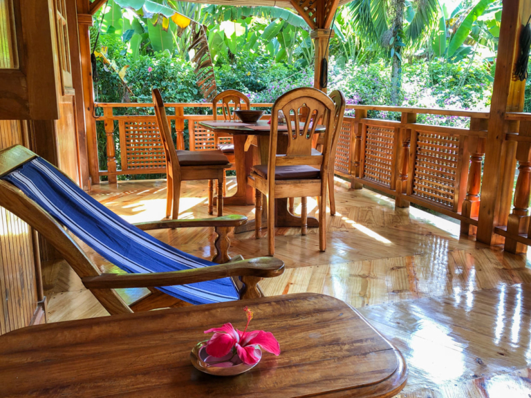 Bois D'amour 11 121308530 3339982829388657 4111400864560924659 n 768x576