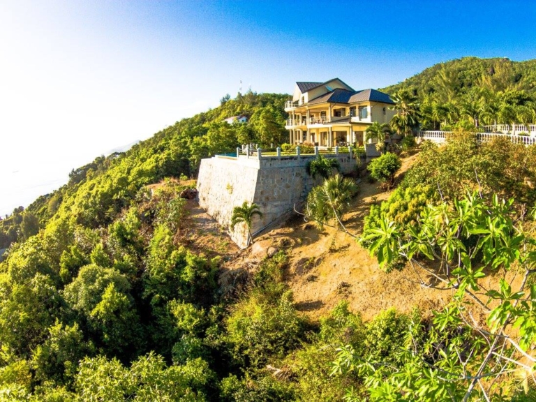 La Vue Selbstversorgung 9 12240333 174769142872789 8782112484663651807 o 768x576