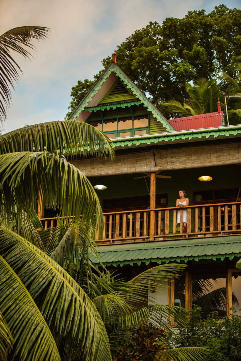 141120 150041 21975 768x1152