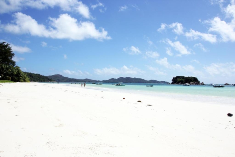 Pirogue Lodge 10 151194074 768x512