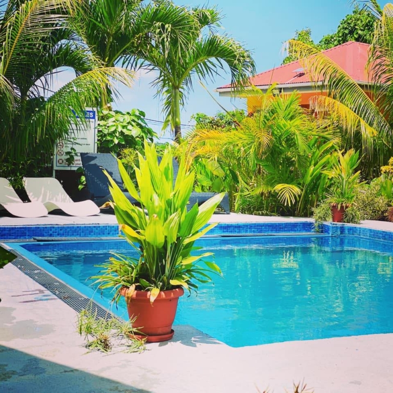 Alha Villa 10 151442287 262101225520477 6990490357795738346 n 768x768