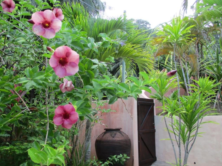 Chalet Bougainville 9 156957353 768x576