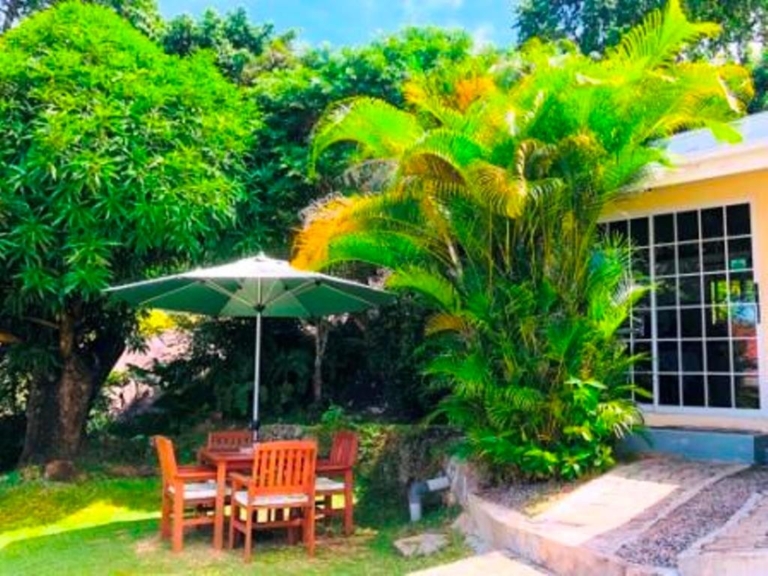 The Reef Palm 12 158178000 768x576