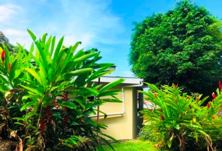 The Reef Palm 11 158179062 768x525