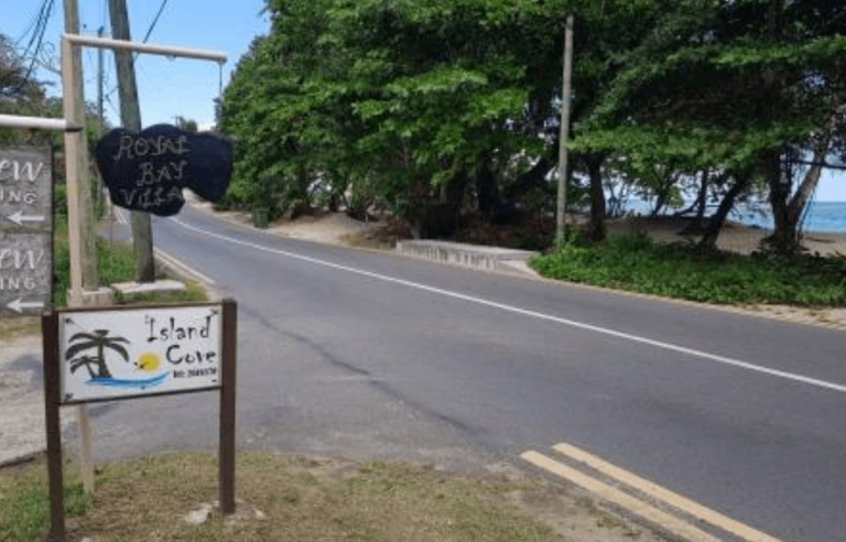 Island Cove 8 163844362210 768x492