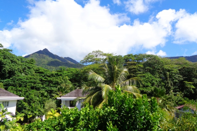 17 jpg 1492720735 1260x768 ff 90 768x513