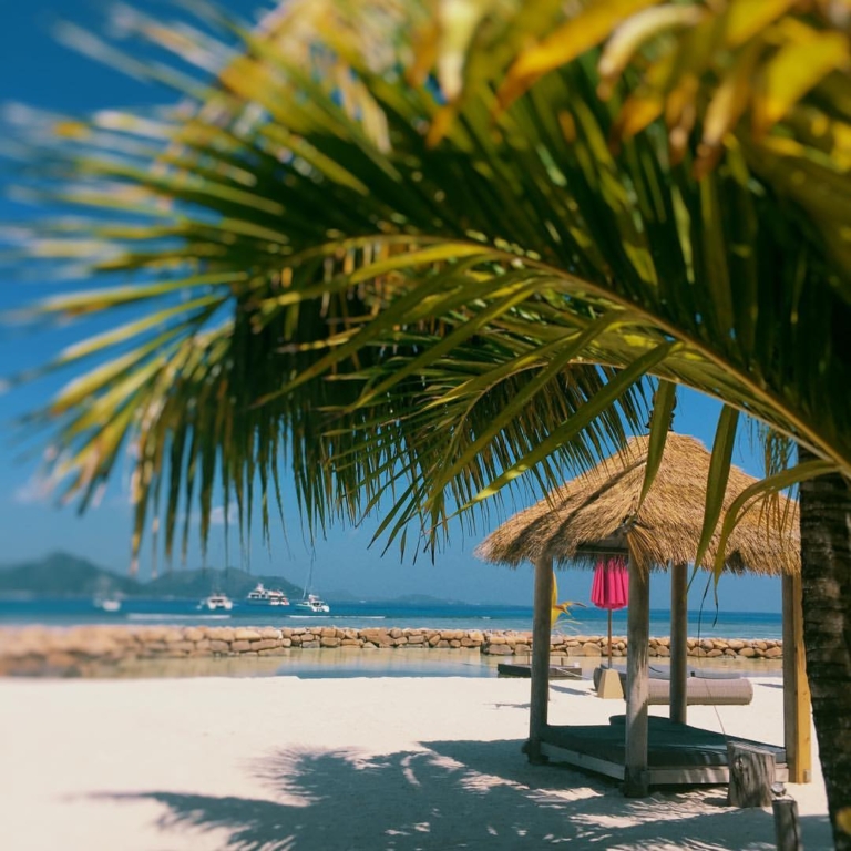 17211983 1445812512124961 8335632773821148554 o 768x768