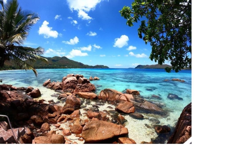 Coin D'or 10 185761027 768x540