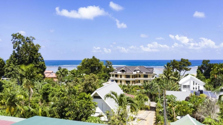 Ocean Bird & Wanita's Selbstversorgung 9 197361468 768x431