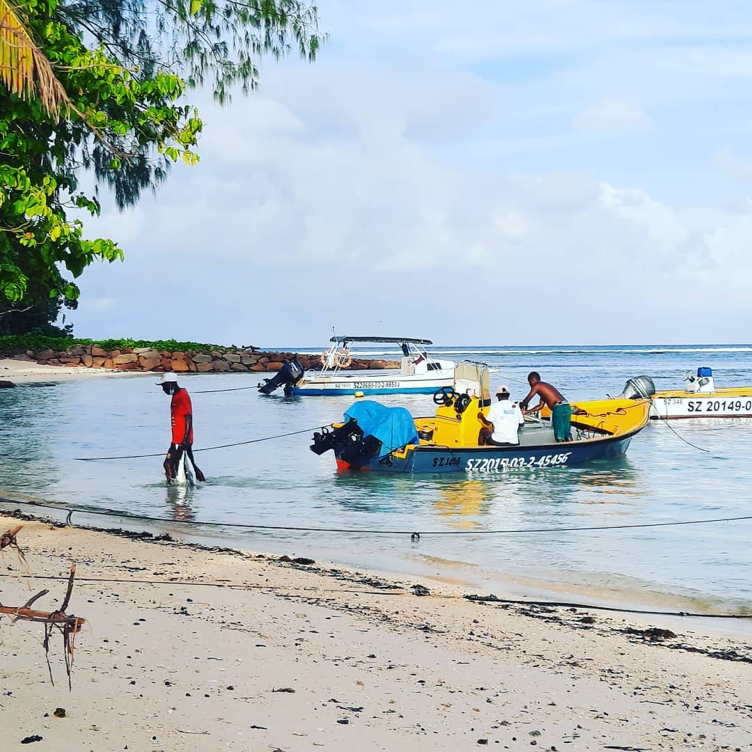 Cabane Des Anges 3 201963630 1900595010097380 2386052855108492746 n