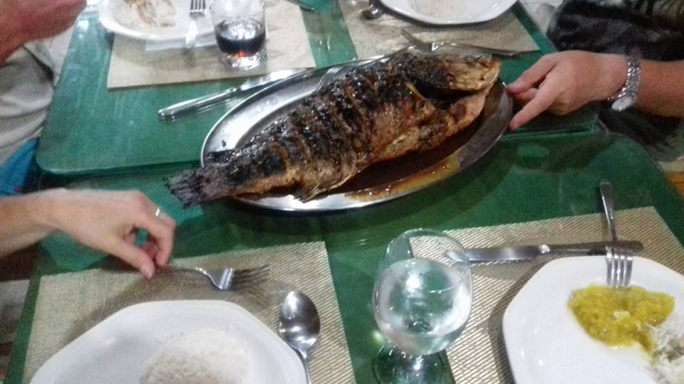 20526326 1412986192113141 9006615186011609216 n 768x432