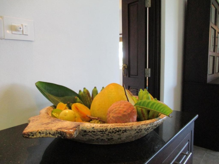 Chalet Bougainville 10 215054444 768x576