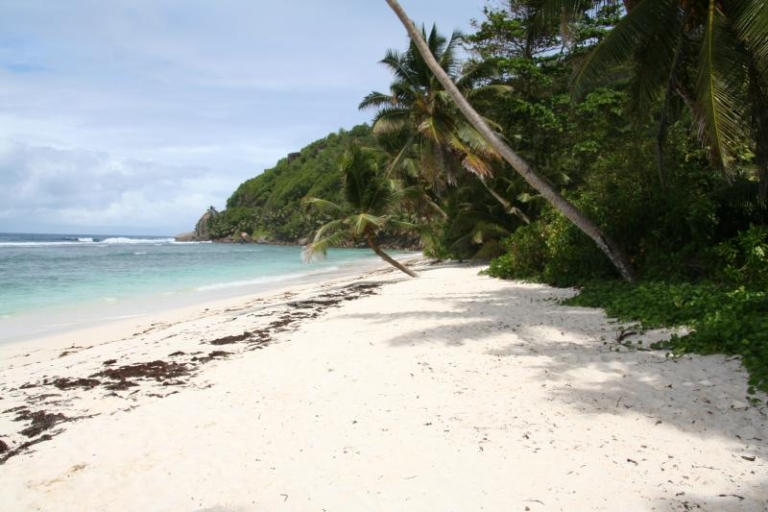 Seiten 7 22 1 768x512