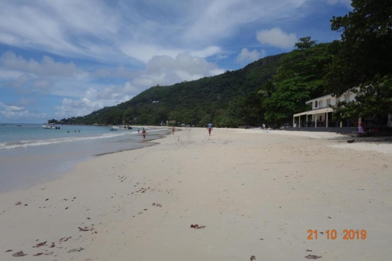 Seiten 9 224279084 768x512