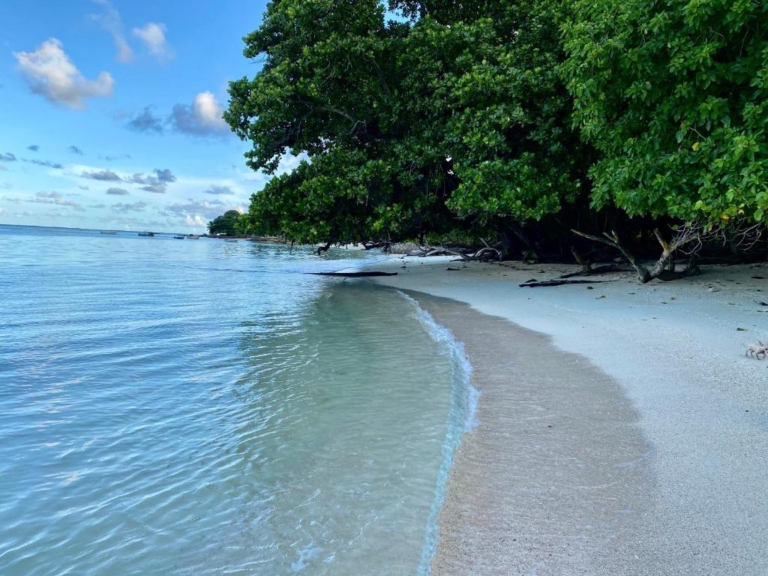 Erica's Residence 8 256917826 768x576