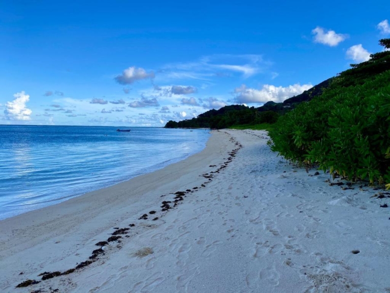 Erica's Residence 9 256918826 768x576