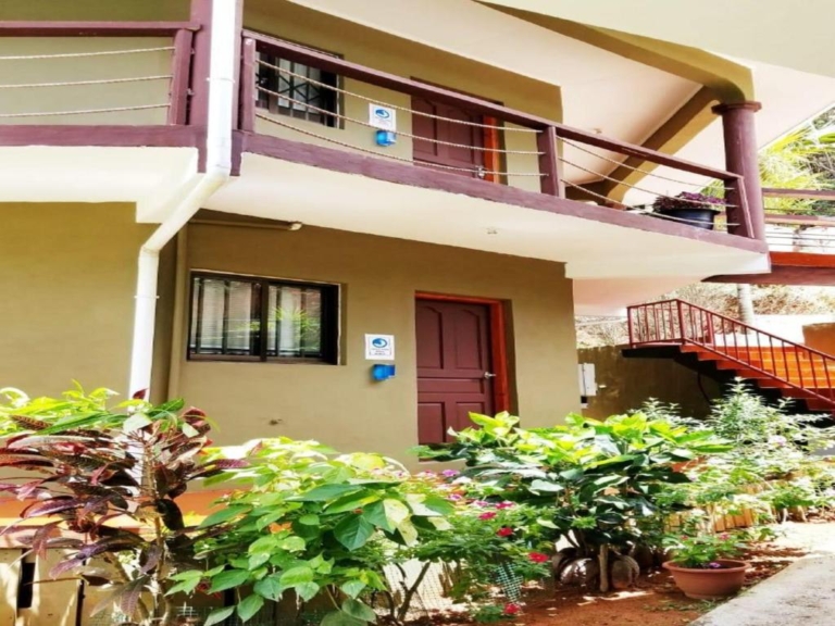 Juliana's Selbstversorgung 7 269796977 768x576