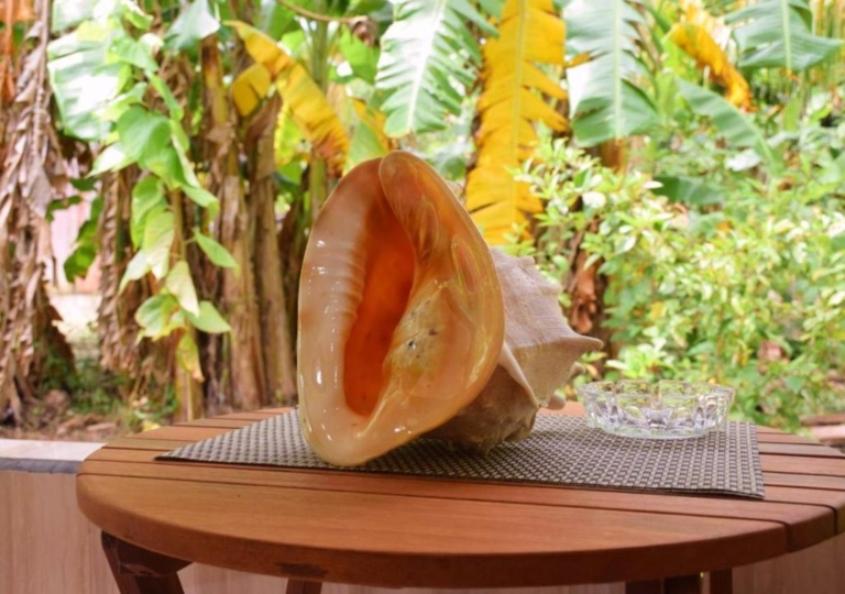 Dan Zoranz Selbstversorgung 9 273828029 768x540