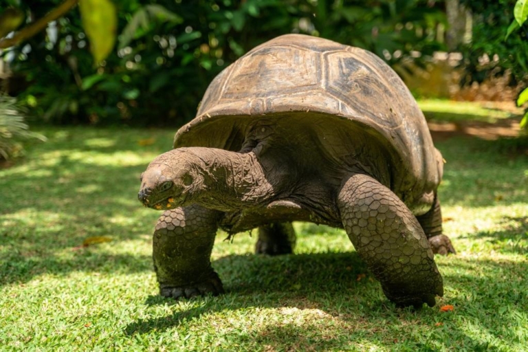 Seiten 3 279763740 768x512