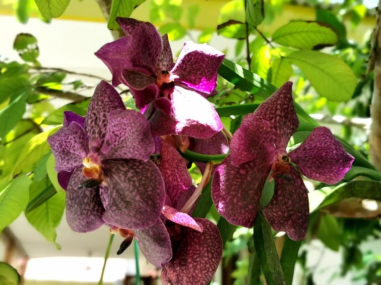 Seiten 2 301145732 768x576