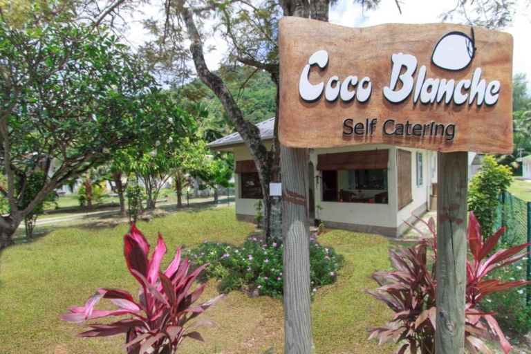 Coco Blanche 7 30134458 768x512