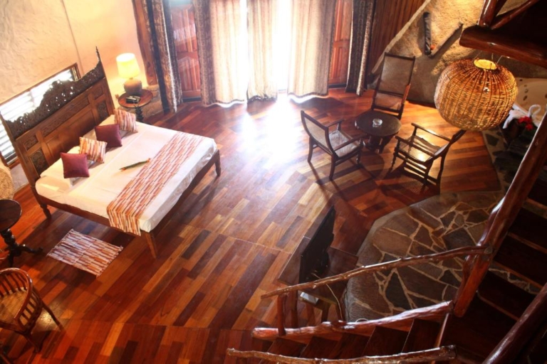 Chauve Souris 9 305478929 768x512