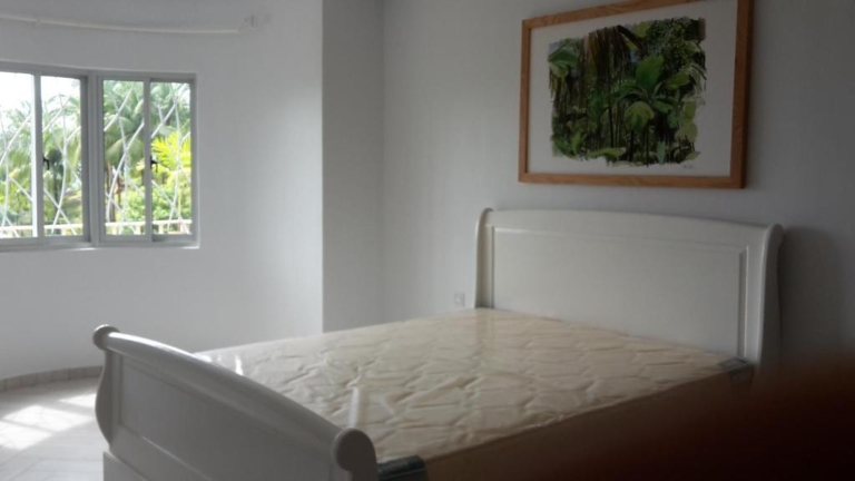 Seiten 6 306241697 768x432