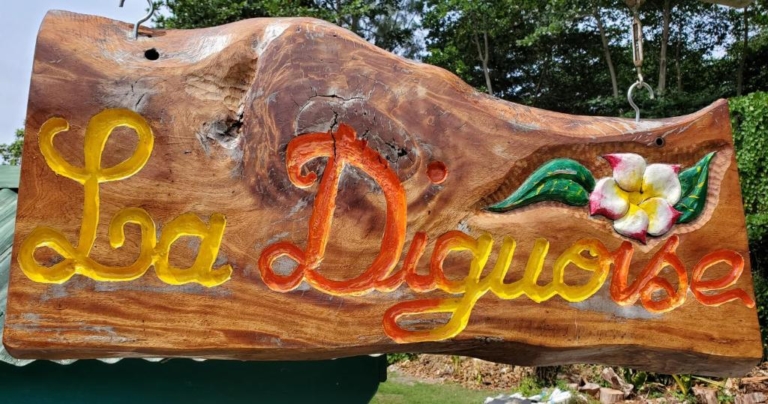 La Diguoise 9 316974711 768x404