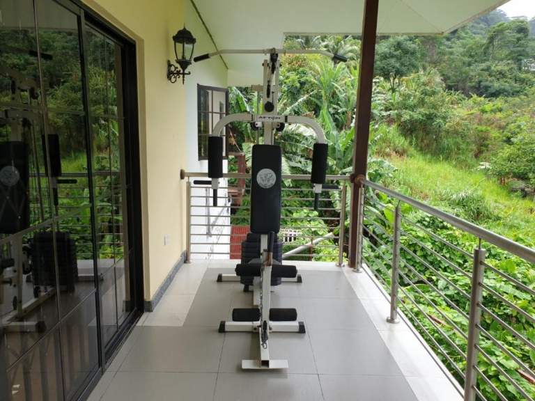 Seiten 6 319512923 768x576