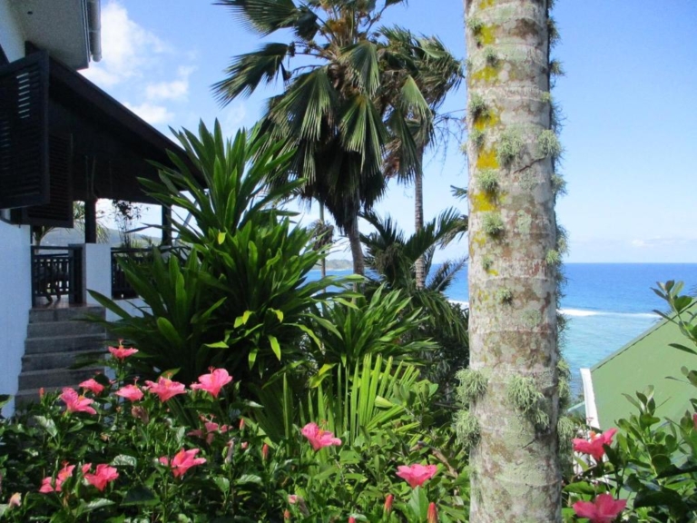 Seiten 5 326301141 768x576