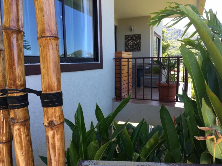 La Vida 8 326327170 768x576