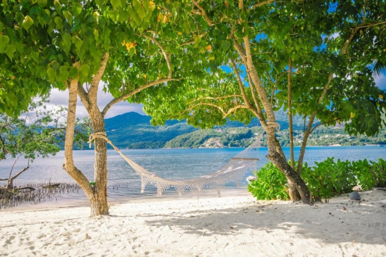 Pineapple Beach Villas 10 335314185 768x512