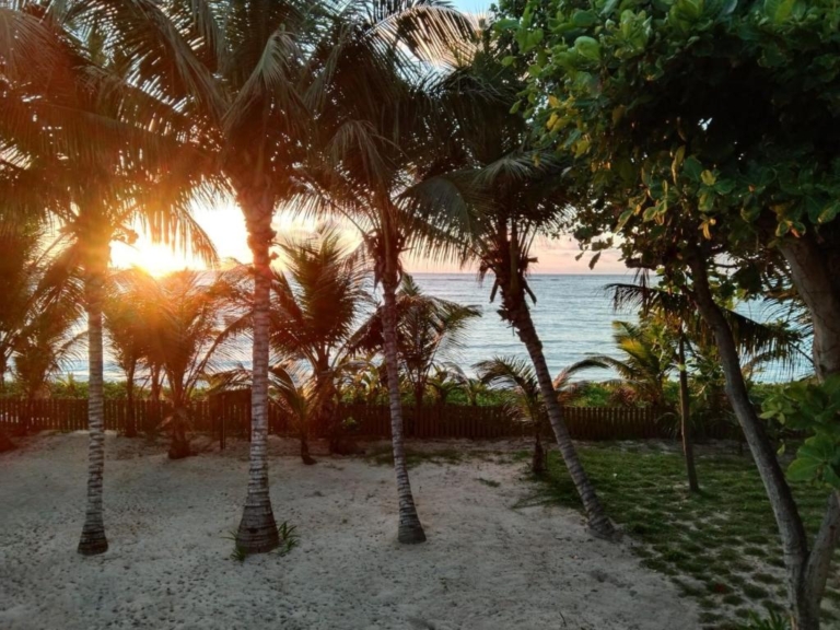 Pied dans L'eau 9 336173755 768x576