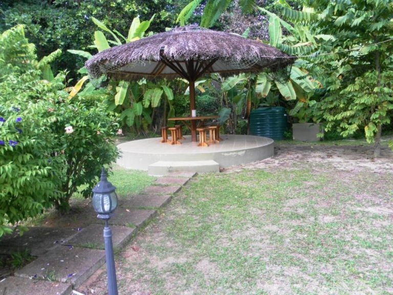 Ylang Ylang 5 33646249 768x576