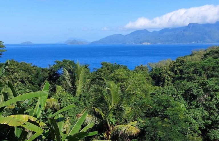 My Paradise 9 343962273 768x496