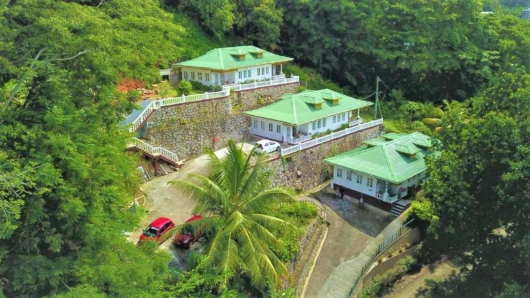 Seychelles Yellow Petals 4 354611451 768x432