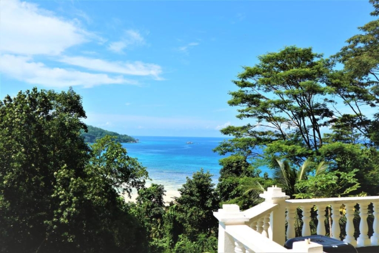 Seiten 5 354611528 768x512