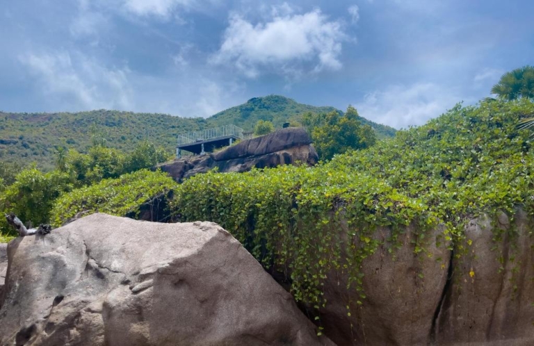 Jardin Marron 8 368992826 768x498