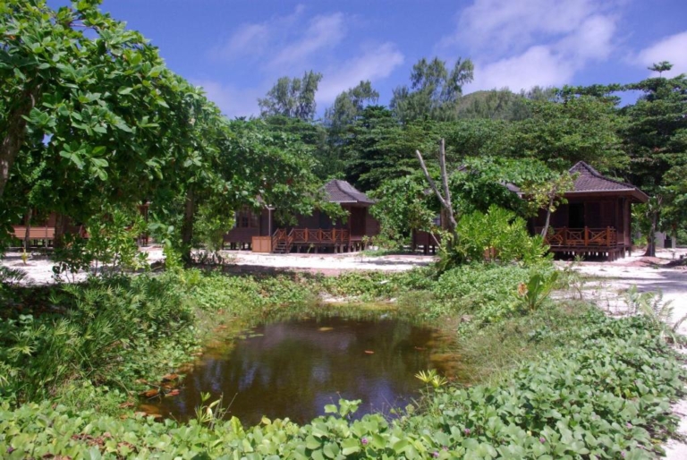 Heliconia Grove 9 37397335 768x514