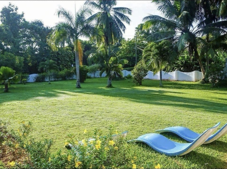 Seiten 5 38851711 2132343090123024 3383950225088446464 n 768x571