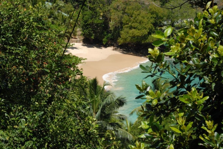 L'Ilot Beach Chalets 7 41303334 768x514